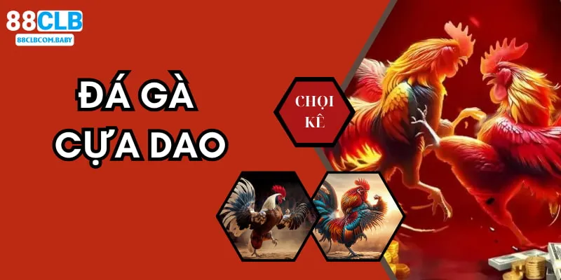 Đá Gà Cựa Dao - Soi Kèo Chiến Kê Cực Hăng Nhà Cái 88CLB