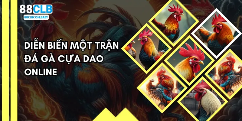 Quy trình diễn ra một ván chọi kê cựa dao chuẩn trên hệ thống 88CLB