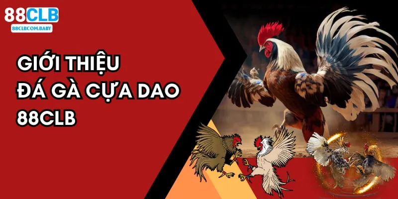 Đá gà cựa dao 88CLB là game soi kèo chiến kê siêu đỉnh