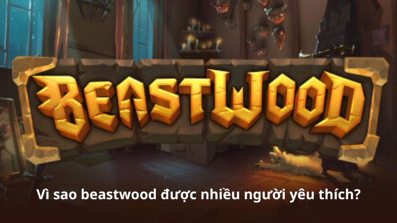 Vì sao beastwood được nhiều người yêu thích?